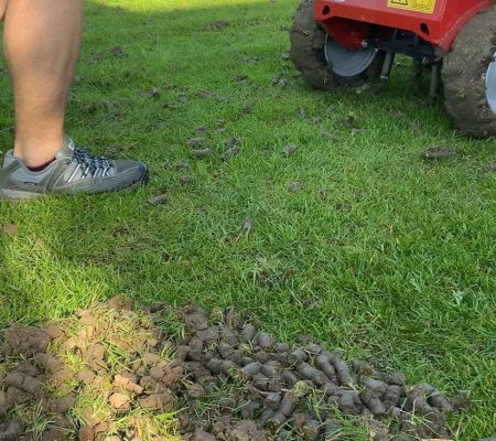 Profesionálna aerifikácia trávnika – prevzdušnenie pôdy pre zdravší rast trávy v Prešove, Košiciach, Bardejove, Starej Ľubovni a Vranove nad Topľou.