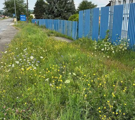 Profesionálna údržba verejných plôch – odstránenie buriny a kosenie trávnikov v Prešove, Košiciach, Bardejove, Starej Ľubovni a Vranove nad Topľou.