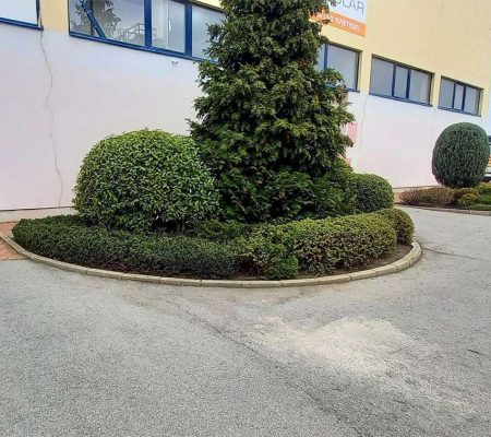 Profesionálna údržba firemnej a verejnej zelene – tvarovanie kríkov, strihanie stromov a úprava zelene v Prešove, Košiciach, Bardejove, Starej Ľubovni a Vranove nad Topľou.