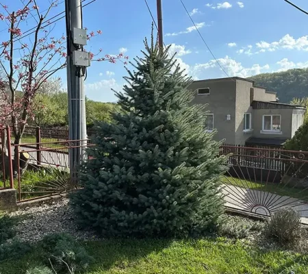 492363875_675394681950160_5562208313854761157_n