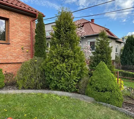 492394908_675394691950159_4710046542372855297_n