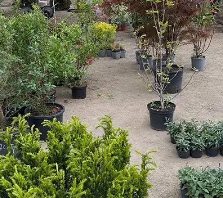 511546923_721857693970525_2752071103808650392_n