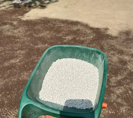 512693501_721857077303920_1735068851951207054_n