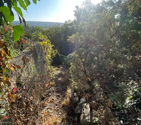 554773363_795537849935842_5905242002037654452_n