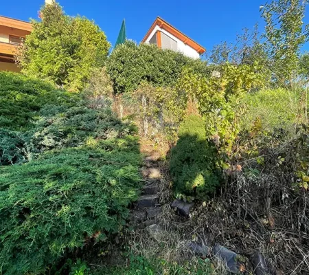 555484168_795522719937355_57551588771125530_n (1)