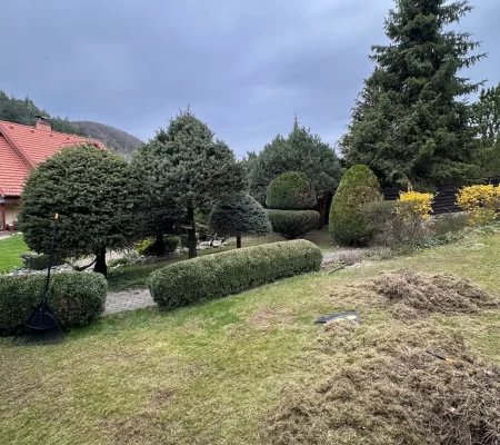 zahradolandia_zahrady_presov_kosice_vysoke_tatry_realizacia_zahrad_poprad_tatry_vychod_udrzba_zahrad_udrzba_zahrady_kladeny_travnik_travnik_udrzba_265345456